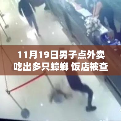 男子外賣驚現(xiàn)多只蟑螂引發(fā)食品安全警鐘事件，飯店遭查背后真相揭秘