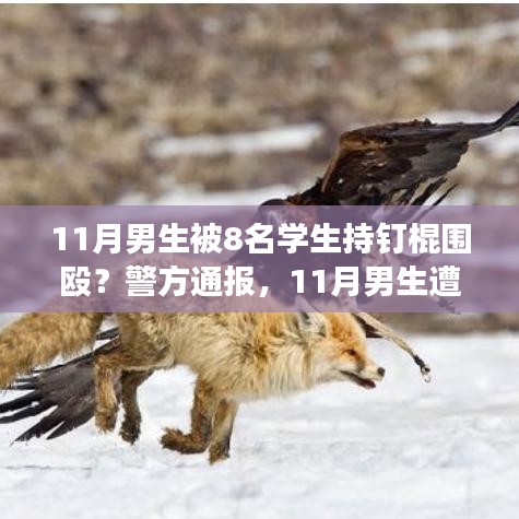 警方通報，11月男生遭學生持釘棍圍毆事件深度解析與解讀