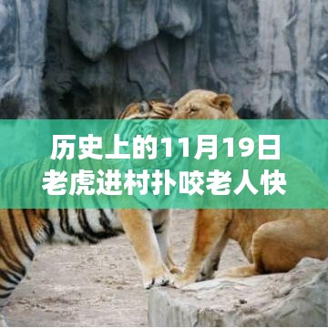 驚魂時(shí)刻與英勇脫險(xiǎn)，猛虎進(jìn)村襲擊老人，快速拉門(mén)化險(xiǎn)為夷的傳奇故事