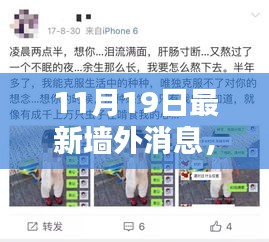 11月19日墻外最新消息產(chǎn)品全面評測與介紹概覽
