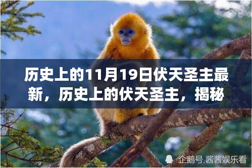 揭秘歷史上的伏天圣主，神秘事件與重大時刻的交織最新資訊（最新篇）