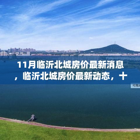 臨沂北城房價最新動態(tài)與深度觀察，十一月房價消息一覽