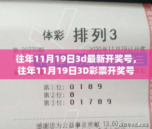 往年11月19日3D彩票開獎號碼詳解，評測、特性、用戶體驗、競品對比及用戶分析
