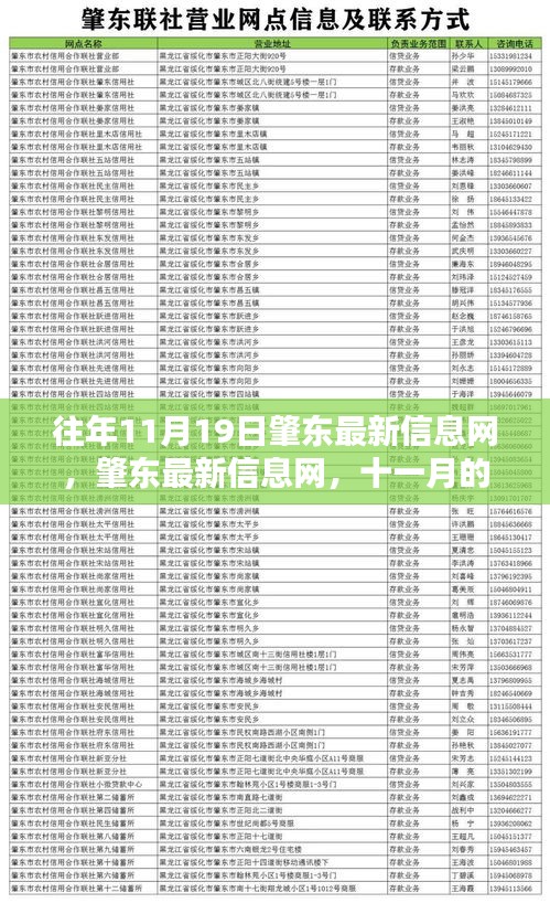 肇東最新信息動態(tài)，十一月回響與時(shí)代印記