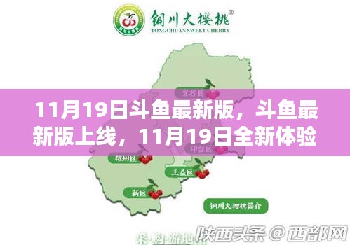 斗魚最新版上線，全新體驗來襲，11月19日獨家呈現(xiàn)！