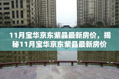 揭秘，11月寶華京東紫晶最新房價與投資先機全解析！