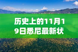 歷史上的11月19日，悉尼最新狀況與秘境探索，自然美景中的心靈之旅