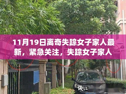 失蹤女子最新動(dòng)態(tài)揭秘，家人緊急關(guān)注，11月離奇失蹤案件真相探尋