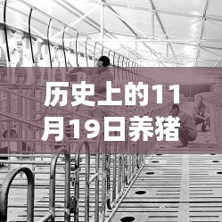 歷史上的11月19日，養(yǎng)豬場(chǎng)用地新政策解讀與操作指南，最新政策解讀及操作指南
