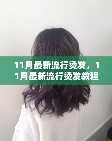 11月最新流行燙發(fā)教程，輕松打造魅力卷發(fā)造型