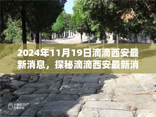 滴滴西安最新動態(tài)揭秘，小巷深處的隱藏瑰寶（2024年11月19日更新）