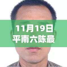 平南六陳最新動態(tài)報道，聚焦要聞，揭秘11月19日最新消息