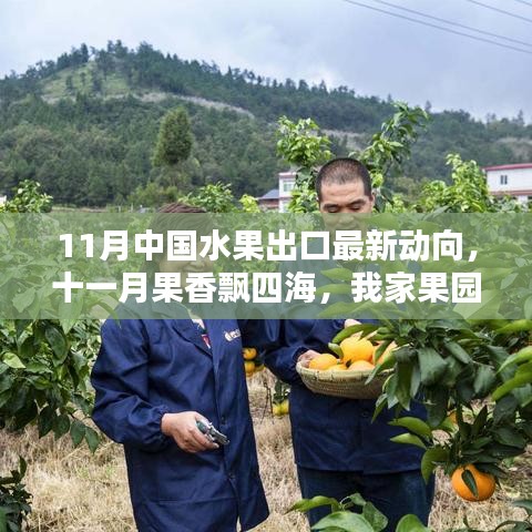 11月水果出口最新動(dòng)態(tài)，果香飄四海，跨國(guó)友情與果園的出口奇遇