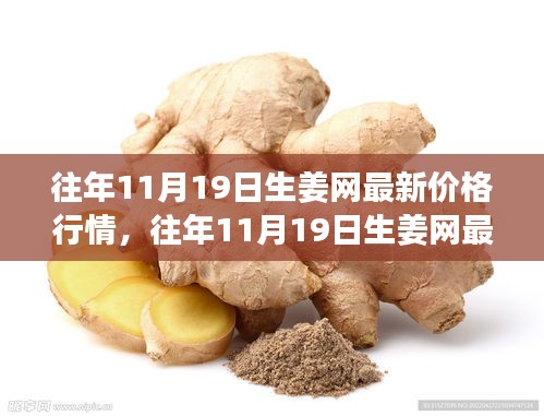 往年11月19日生姜網價格行情深度解析與介紹