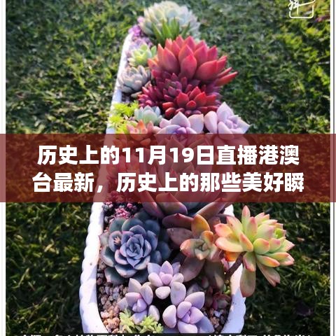 歷史上的美好瞬間，探尋自然美景與心靈的寧靜港灣（直播港澳臺最新）