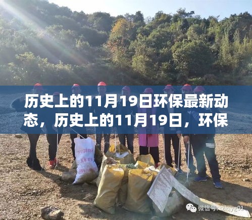 歷史上的環(huán)保新篇章，11月19日的綠色動(dòng)態(tài)與挑戰(zhàn)中的自信成就未來(lái)。