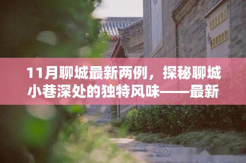 探秘聊城小巷深處，最新發(fā)現(xiàn)的兩家隱藏小店——11月聊城最新兩例獨(dú)特風(fēng)味小店