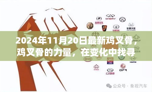 勵志之旅，雞叉骨的力量與自信成就感的探尋之路（2024年11月20日最新）