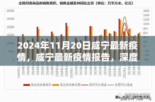 2024年11月20日咸寧疫情報告，深度解析與競品對比，疫情態(tài)勢及應(yīng)對策略