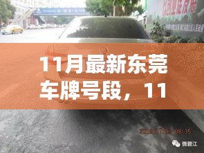 11月最新東莞車牌號(hào)段評測與詳解