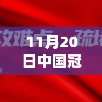 中國冠狀病毒最新狀態(tài)深度解析（截至日期，11月20日）