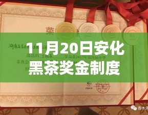 安化黑茶獎(jiǎng)金制度最新解析及全面產(chǎn)品特性與使用體驗(yàn)探討