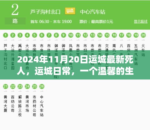 溫馨告別，友情長存——運城日常的生命告別故事（2024年11月20日最新）