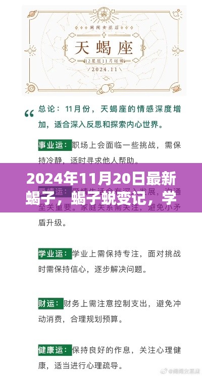 蝎子蛻變之旅，學(xué)習(xí)變化中的自信與成就感探尋（2024年11月20日最新）