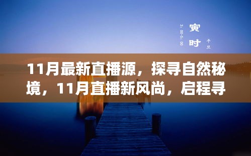 探尋自然秘境，11月直播新風(fēng)尚，啟程內(nèi)心平和之旅