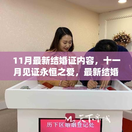 十一月見證永恒之愛，最新結(jié)婚證內(nèi)容深度解析