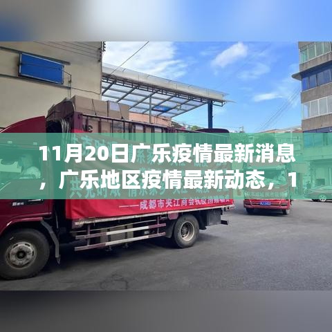 11月20日廣樂(lè)疫情最新動(dòng)態(tài)，回顧與影響