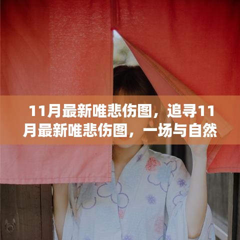 11月最新唯悲傷圖，與自然共舞的心靈治愈之旅