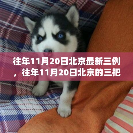 往年11月20日北京三例背后的故事，點(diǎn)燃自信與成就之光的學(xué)習(xí)之旅