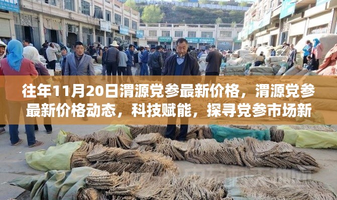 科技賦能下的渭源黨參市場新風(fēng)向，最新價(jià)格動(dòng)態(tài)及市場趨勢分析（往年1月最新數(shù)據(jù)）