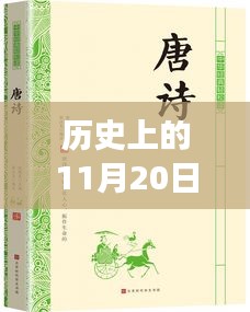麻衣神算子最新章節(jié)閱讀指南，歷史11月20日更新，初學(xué)者與進(jìn)階用戶必讀