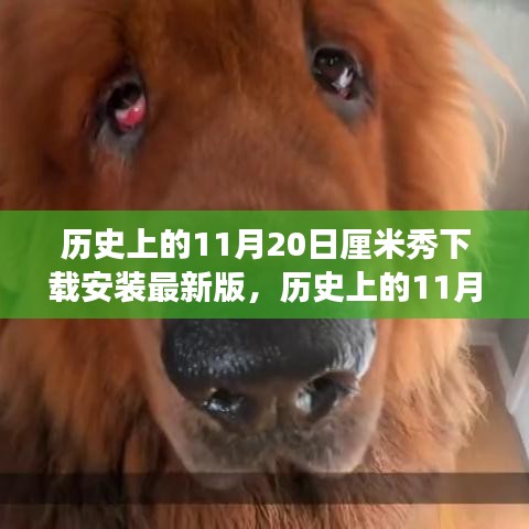 歷史上的11月20日，厘米秀最新版的探索之旅