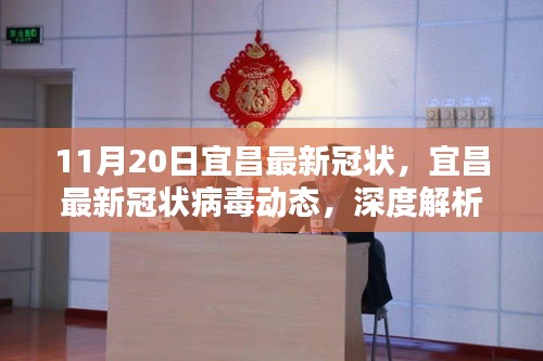 宜昌最新冠狀病毒動態(tài)深度解析與案例分析（11月20日更新版）