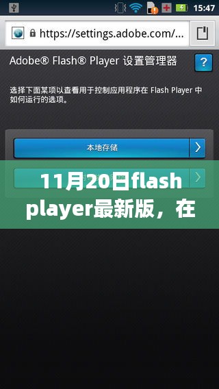 11月20日flashplayer最新版，在最新Flash Player中的溫馨日常，一次奇妙的友情之旅