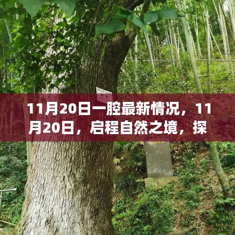 11月20日啟程自然之境，探尋內(nèi)心的桃花源最新動(dòng)態(tài)