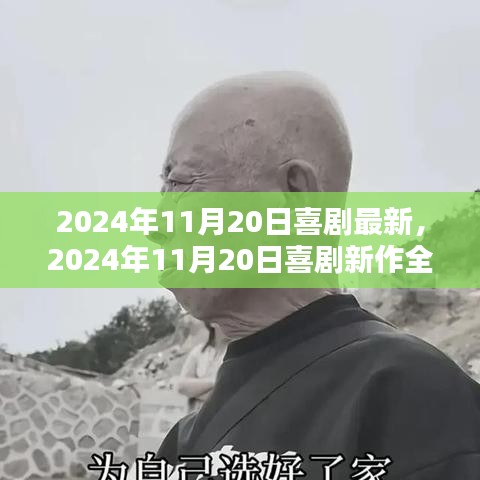 喜劇新作測(cè)評(píng)，歡笑與感動(dòng)的完美結(jié)合（2024年11月20日最新）