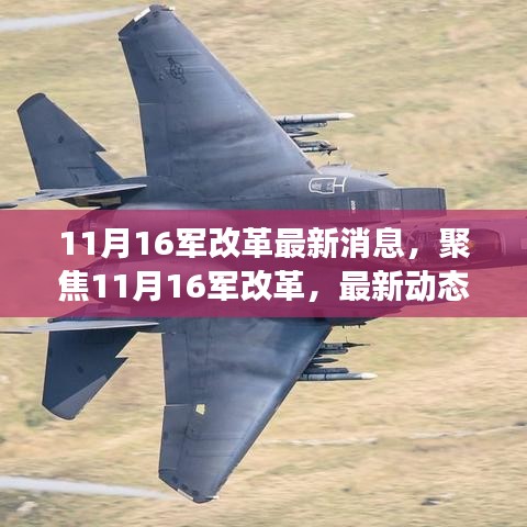 深度解讀，聚焦11月16日軍隊改革最新動態(tài)與深度解讀