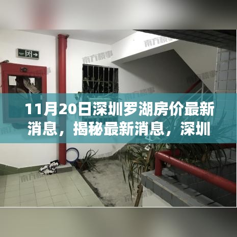 深圳羅湖房?jī)r(jià)最新動(dòng)態(tài)及市場(chǎng)趨勢(shì)解析（11月20日數(shù)據(jù)揭秘）