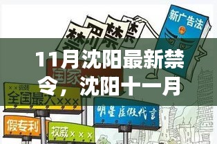 沈陽11月新禁令出臺，法規(guī)更新與溫馨瞬間