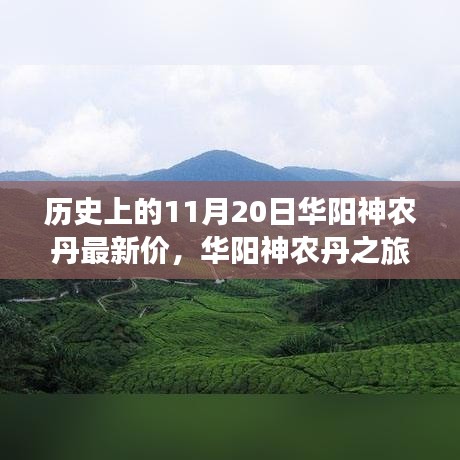 華陽神農(nóng)丹之旅，探尋歷史價格與自然美景，尋找內(nèi)心的寧靜與和諧