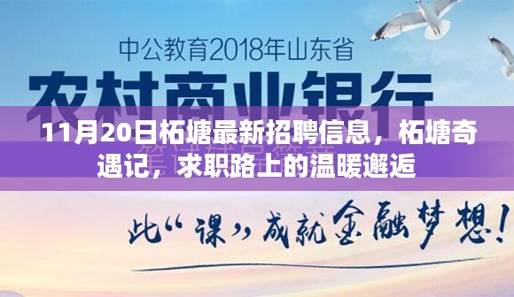 柘塘最新招聘信息揭秘，求職路上的溫暖邂逅之旅