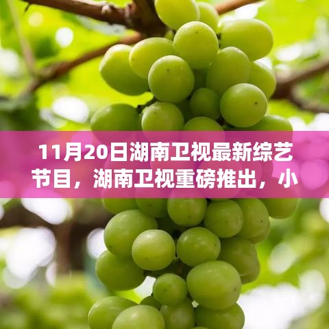 湖南衛(wèi)視巷弄美食探秘夜，小巷深處的綜藝寶藏新節(jié)目上線