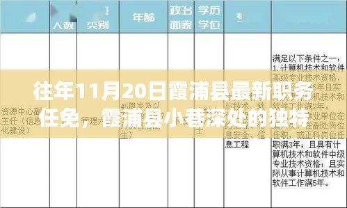霞浦縣職務(wù)任免背后的獨(dú)特風(fēng)味與驚喜發(fā)現(xiàn)之旅