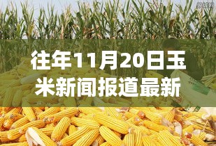 探秘巷弄深處的驚喜小店，往年玉米新聞回顧與隱藏式特色小店的玉米香之旅