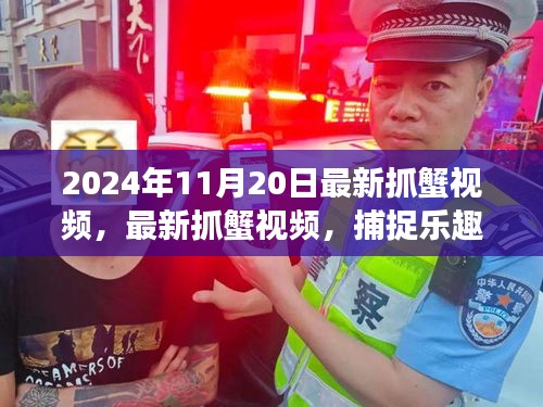 了解鹿瓷 第711頁(yè)