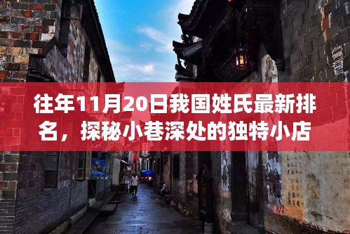 往年11月20日中國(guó)姓氏最新排名，小巷深處的獨(dú)特小店背后的故事探秘
